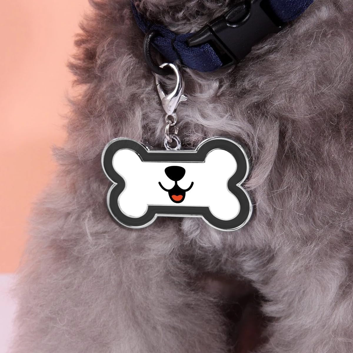 Customizable Dog & Cat ID Pet Tag
