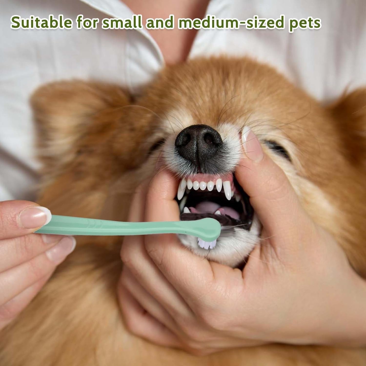 4 Pack Small Dog Toothbrush Pet Toothbrush Cat Tooth Brush Puppy Toothbrush Mini