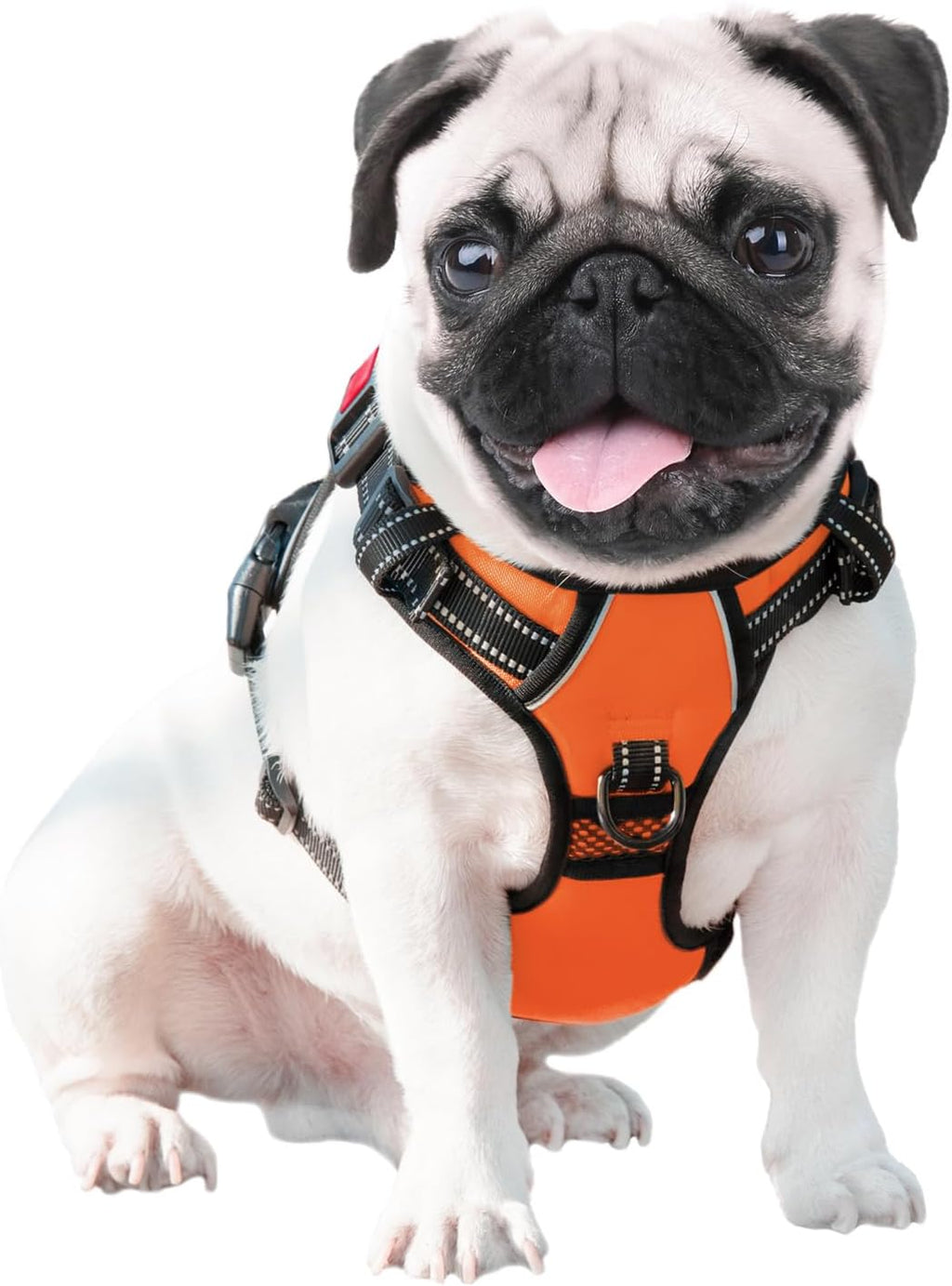 No-Pull Dog Harness – Medium, Orange