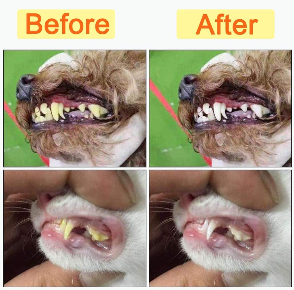 10 Pack Pet Dog & Cat Toothbrush Dental Set