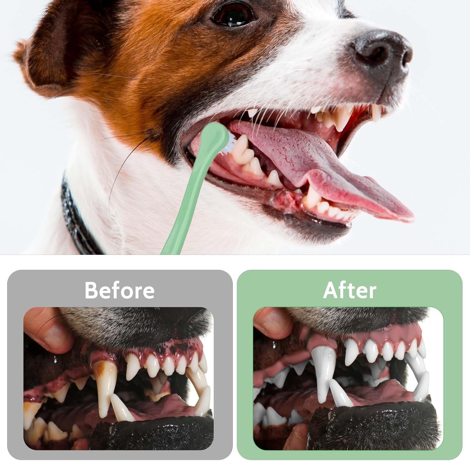 4 Pack Small Dog Toothbrush Pet Toothbrush Cat Tooth Brush Puppy Toothbrush Mini