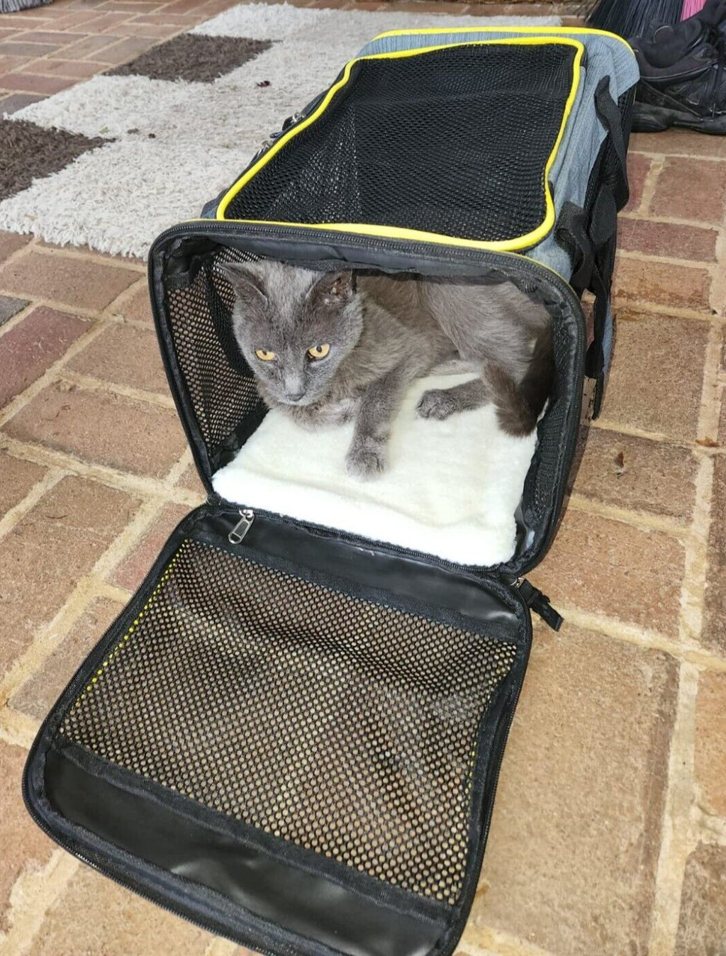 Large Size Soft-Sided Mesh Travel Pet Carrier Airline Approved up to 25 Pounds