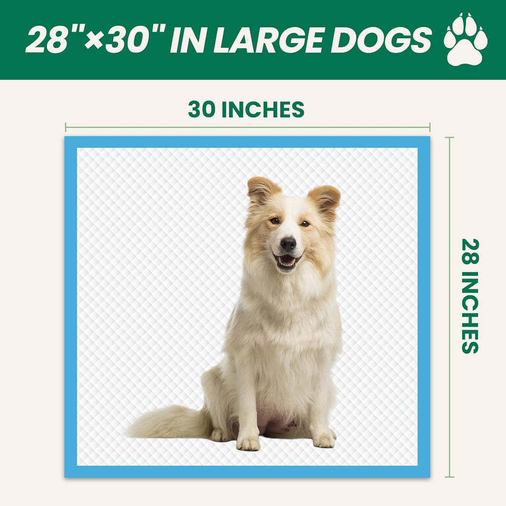 100-Pack Large Dog & Cat Pee Pads – 28x30