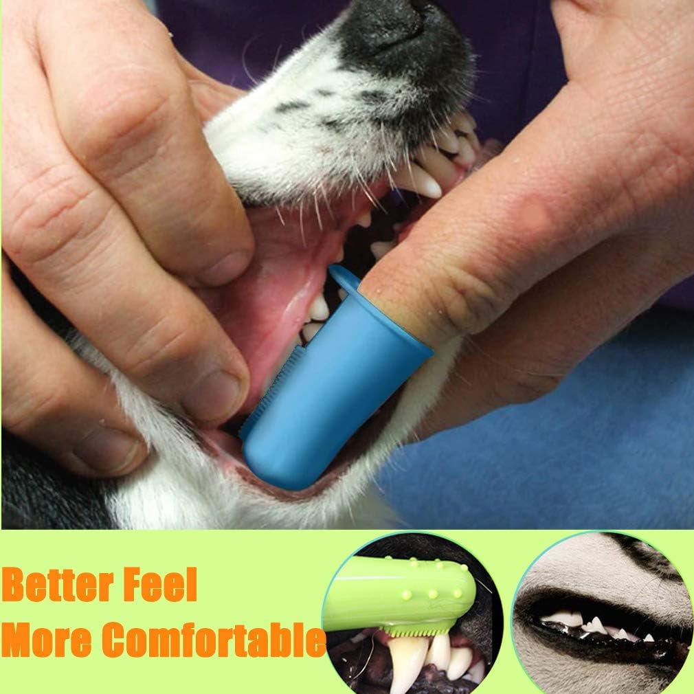 10 Pack Pet Dog & Cat Toothbrush Dental Set