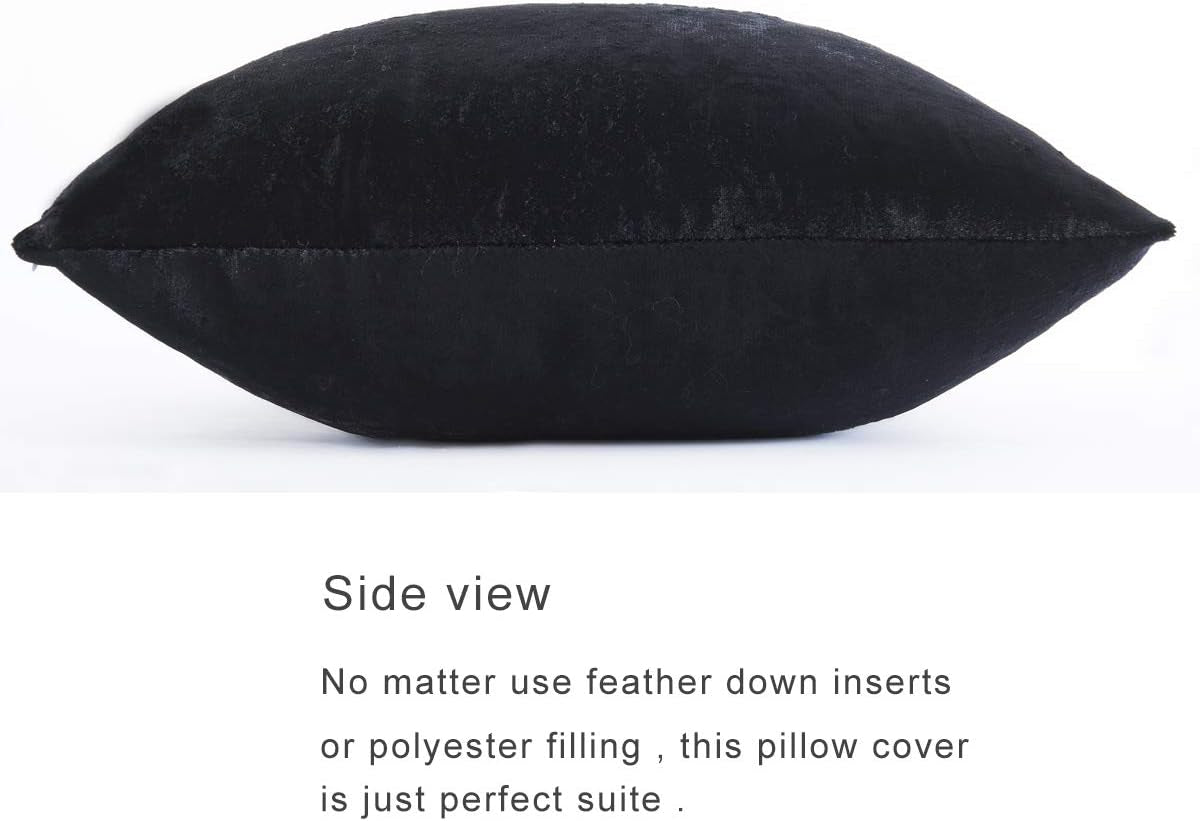 Decorative Throw Pillow Covers 16 X 16, Black Soft Pillow Covers Velvet,Set of 4 Decor Square Cushion Covers