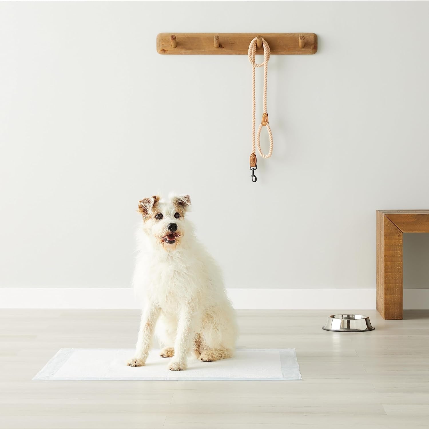 X-Large Puppy Training Pads 40-Pack